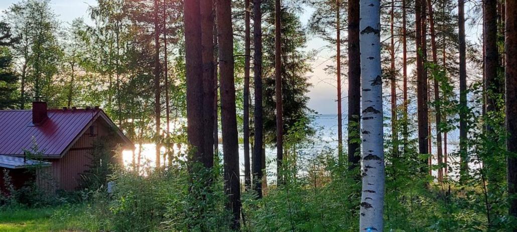 Pulla Karvisen Maatilamatkailussa Ruokola Экстерьер фото
